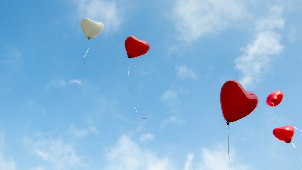 red and white heart balloons